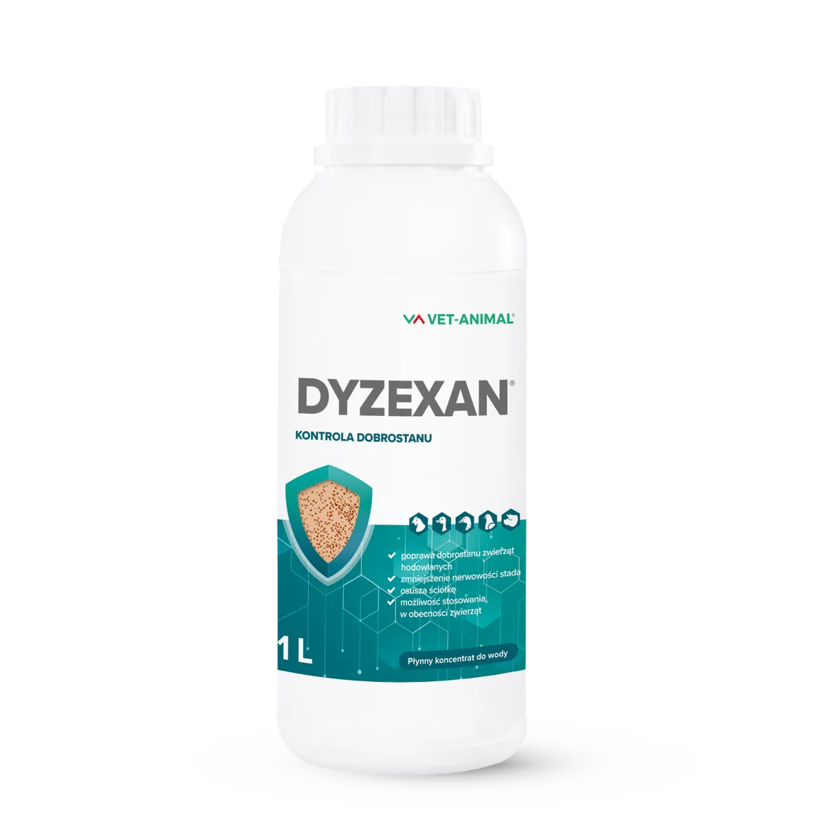 Dyzexan Ptaszyniec1L en.png