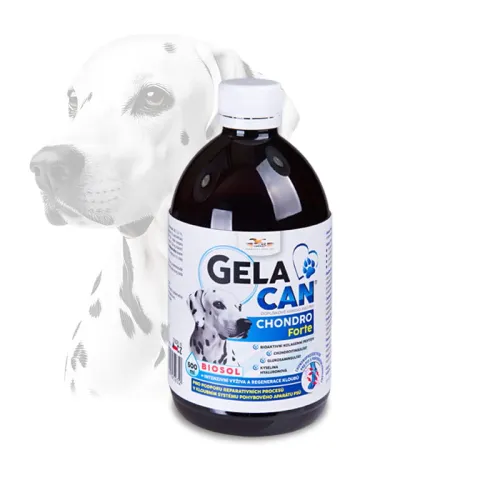 Gelacan Chondro Forte Biosol pre psov 500 ml