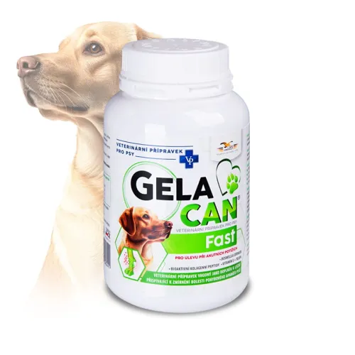 Gelacan Fast pre psov na kĺby