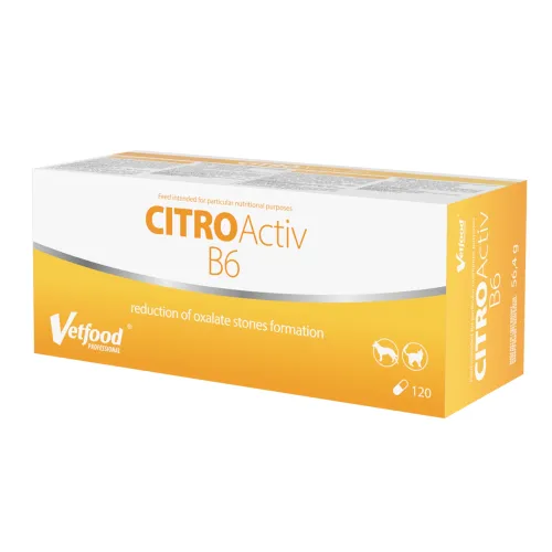 CitroActiv B6 120 kapsúl Vetfood