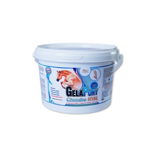 GelaPony Chondro HYAL 900 g.png
