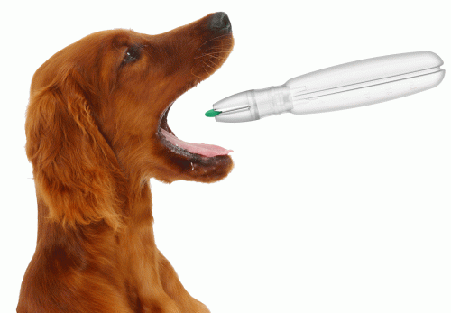 Pet Pill Pen dávkovač tabletiek pre domáce zvieratá pet-pill-pen-blister-dozownik-tabletek-dla-zwierzat-6285.gif