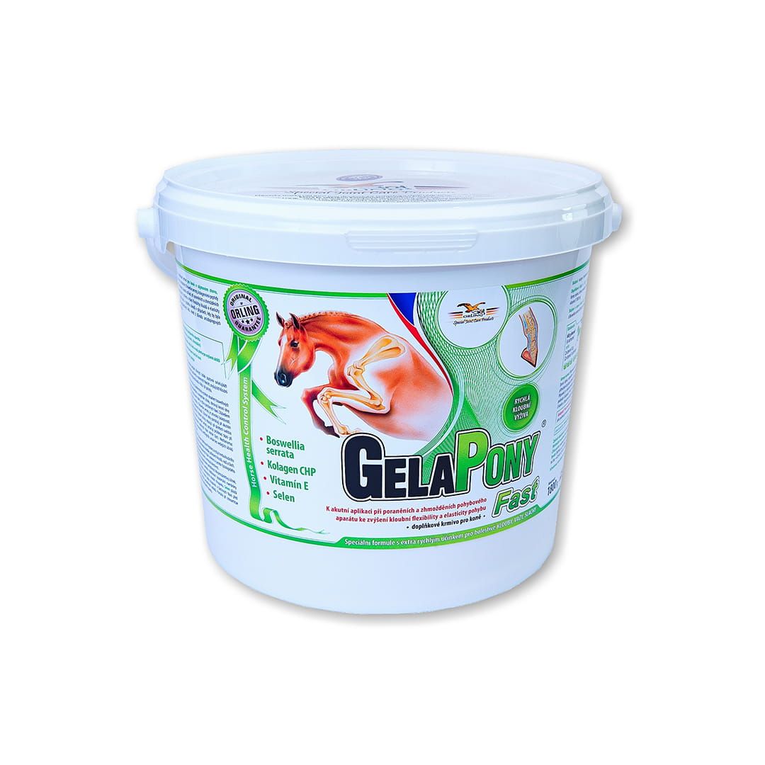 GelaPony Fast
