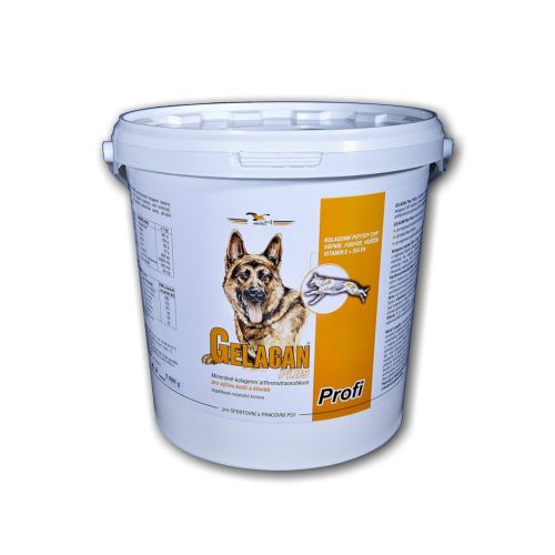 Gelacan Profi Aquamin pre psov Gelacan Profi Aquamin dla psów 5kg.jpg