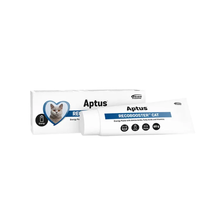 Aptus RECOBOOSTER Cat pasta 60 g.jpg