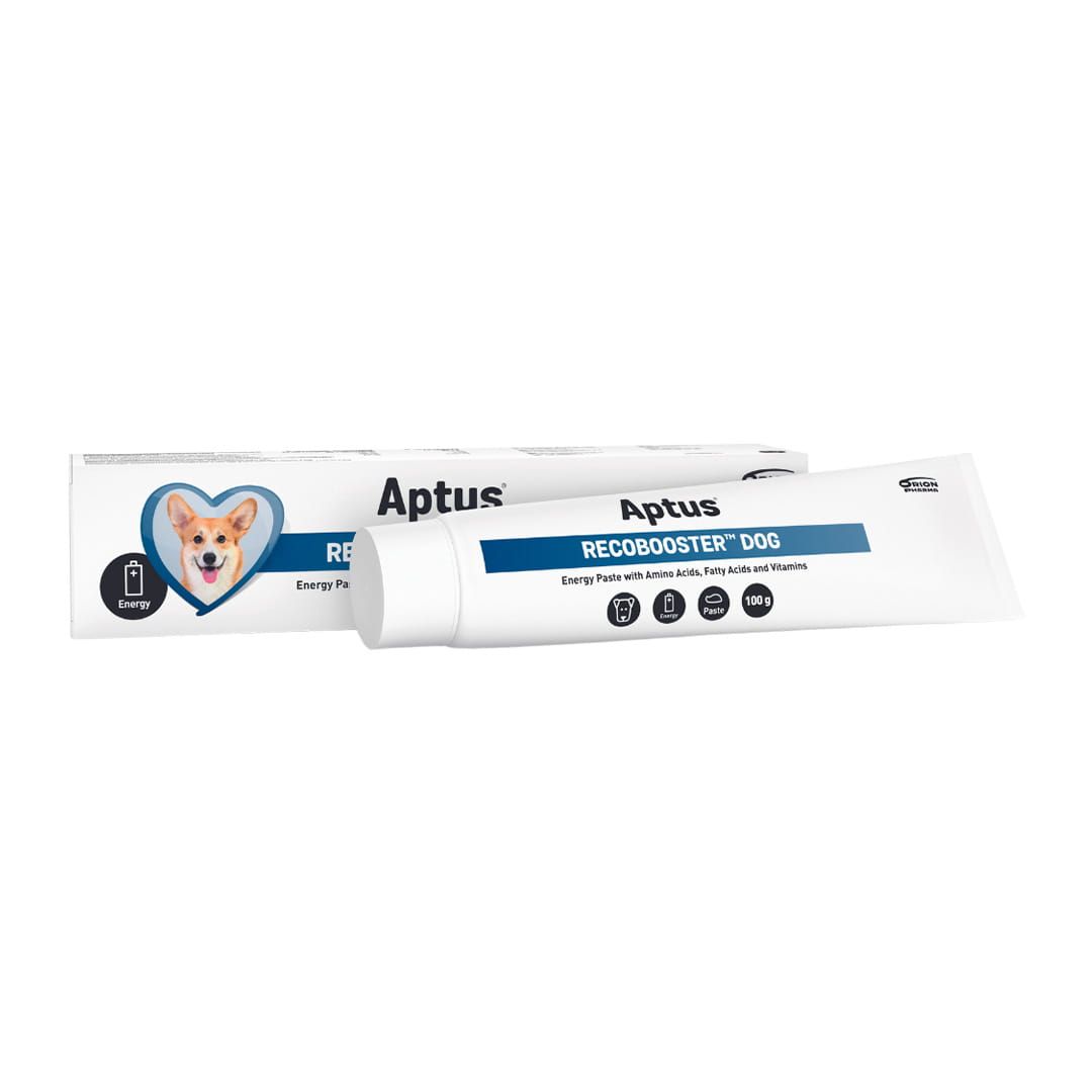 Aptus RECOBOOSTER Dog pasta 100 g.jpg
