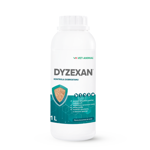 Dyzexan Ptaszyniec1L en.png