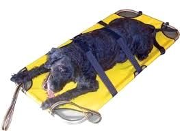 Nosidlá pre zvieratá ( 122 cm x 60 cm ) 5 kg zdjecie noszy na strone.jpg