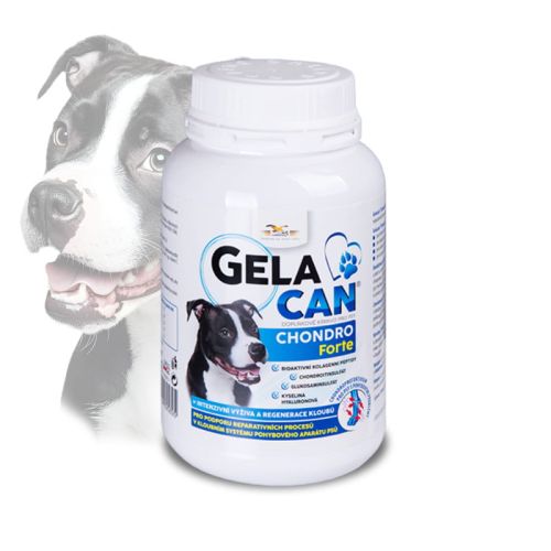 Gelacan-Chondro-Forte-150-g--proszek.jpg