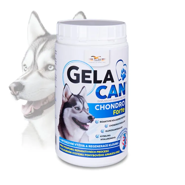 Gelacan-Chondro-Forte-500-g---proszek.jpg