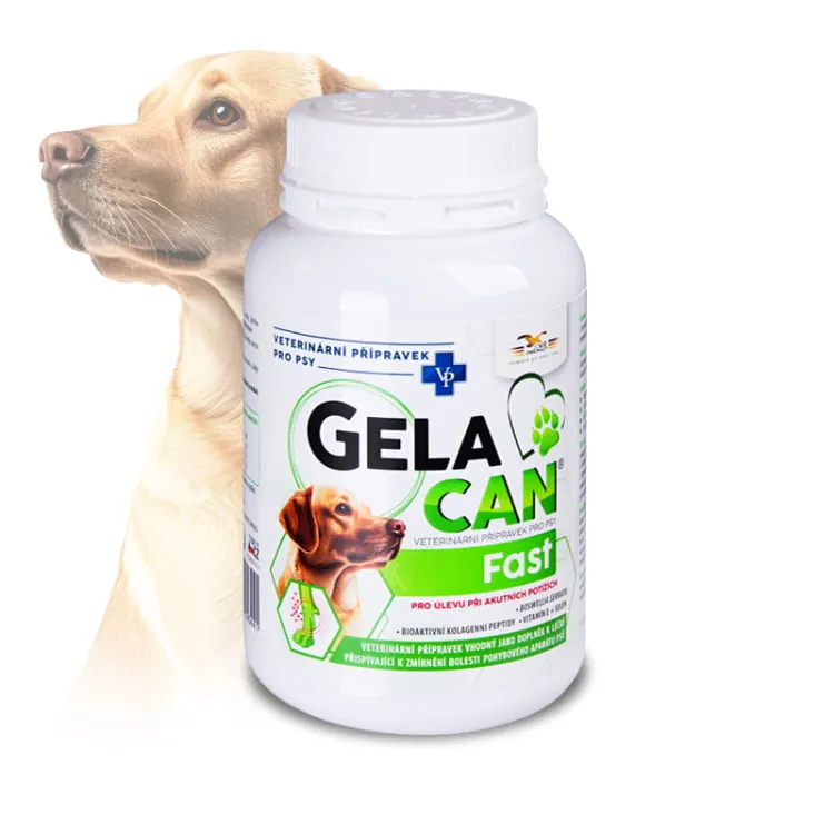Gelacan-Fast-150g---proszek.jpg