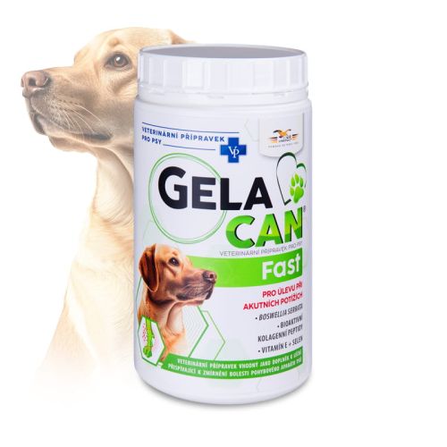 Gelacan-Fast-500-g---proszek.jpg