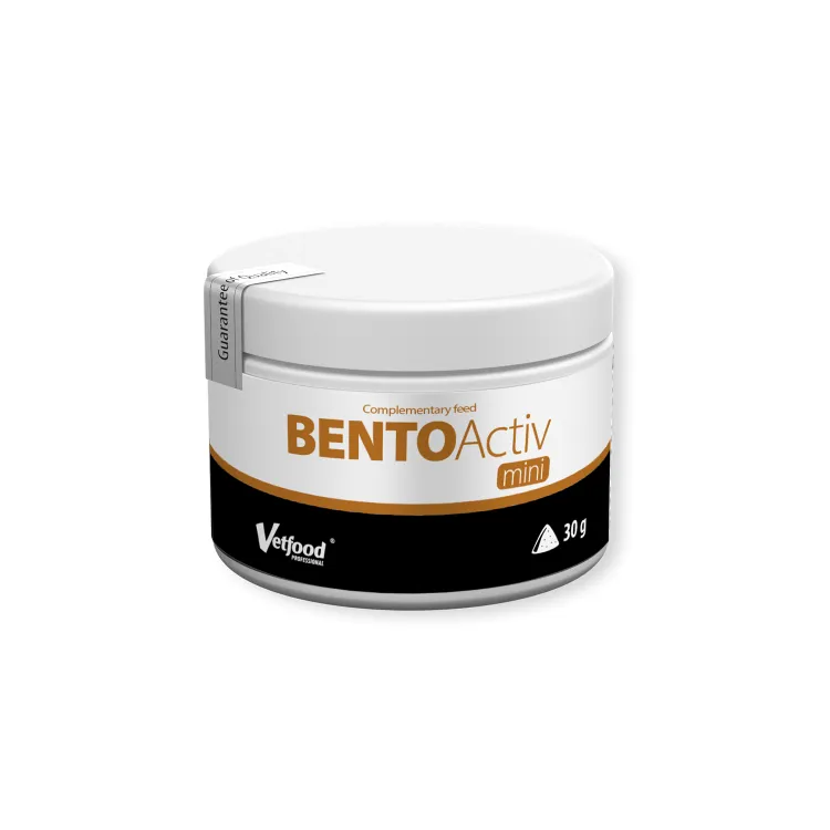 Bento-Activ-mini-30g.webp
