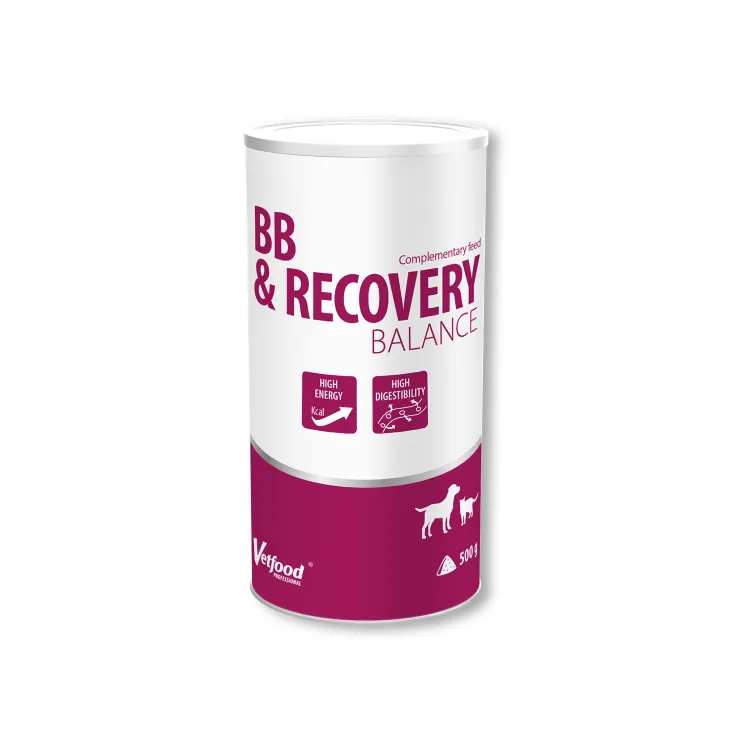 BB-Recovery-500g.webp