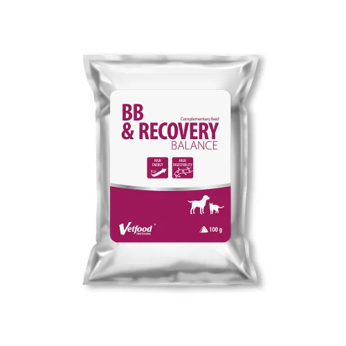 BB-Recovery-100g.webp