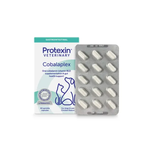 protexin-cobalaplex-60-kapsulek-witaminy-b9-b12-prepiotyk-b-iext164007570.webp