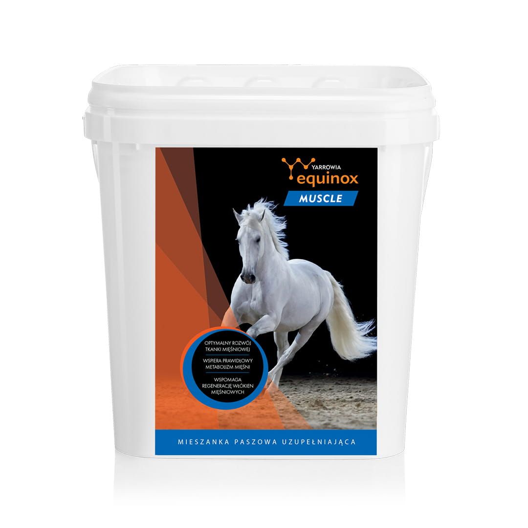 Equinox Muscle YARROWIA.jpg
