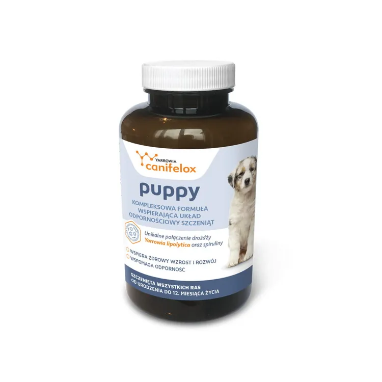 Canifelox Puppy YARROWIA.jpg