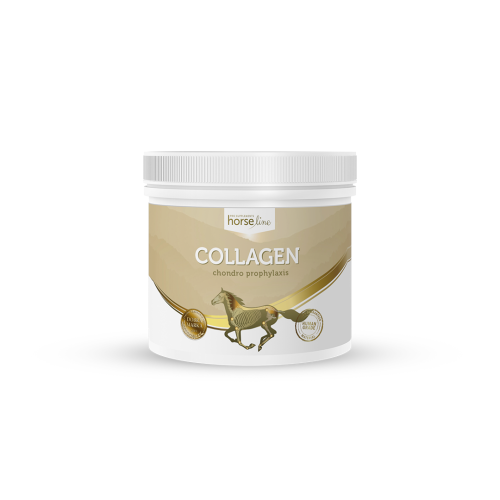 Kolagén HorseLinePRO Collagen HorseLinePRO 300g.png