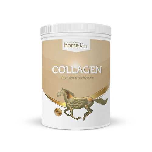 Kolagén HorseLinePRO Collagen HorseLinePRO 800g.png