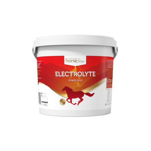 Elektrolyt Power Plus HorseLinePRO Electrolyte Power Plus HorseLinePRO 3000g.png