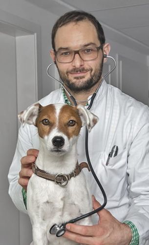 Veľký stetoskop HEINE GAMMA HEINE GAMMA Stetoskop duży-3.jpg