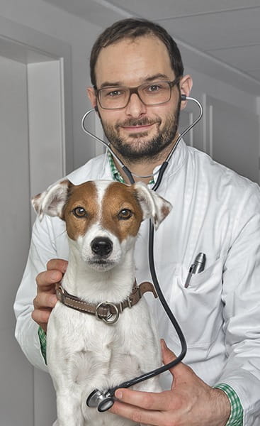 HEINE GAMMA Stetoskop duży-3.jpg