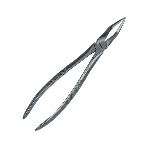 Kleszcze Berten górne korzenie fig. 51A.png