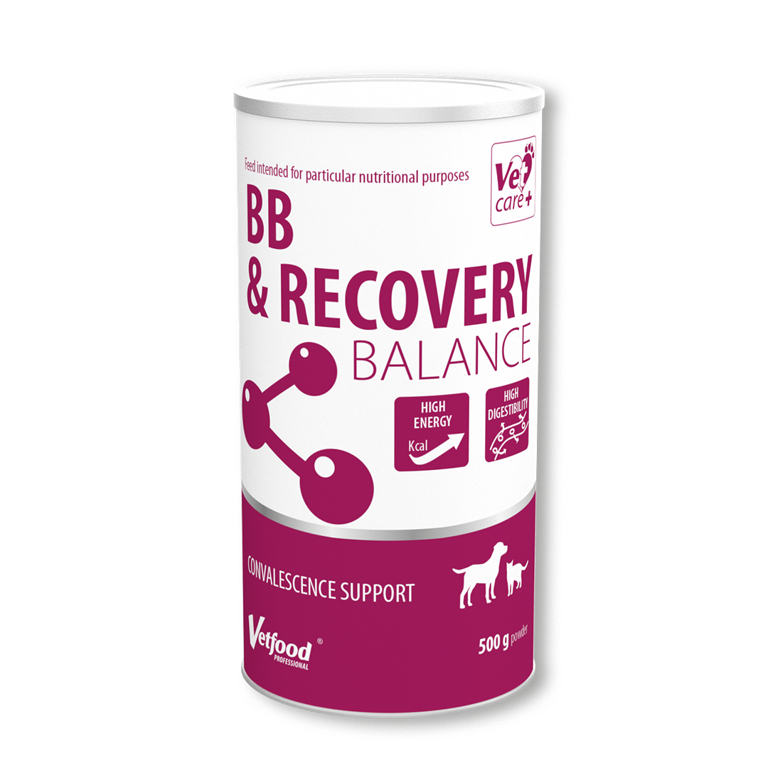 BB &amp; Recovery Balance 500 g Vetfood
