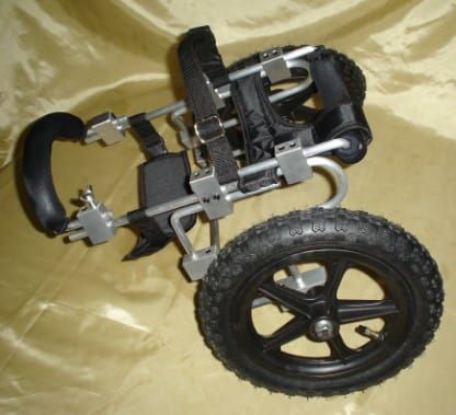 Invalidný vozík pre psa s prednou parézou DSC02198.jpg