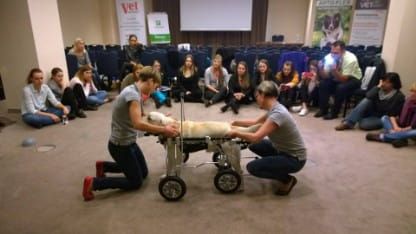 Kvadriparéza na invalidnom vozíku 14522963_1091209961000455_8314880246538499400_n.jpg