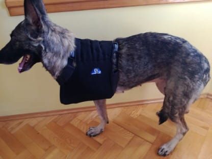 Hrudná končatinová ortéza Temblak-dla-psa-sling-for-dog-to-the-front-paws-v.jpg