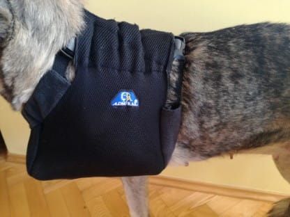 Hrudná končatinová ortéza Temblak-dla-psa-sling-for-dog-to-the-front-paws-vv.jpg