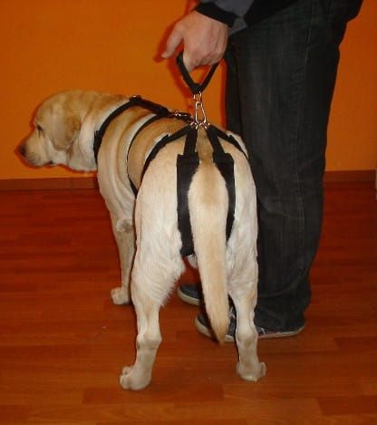 Súprava postrojov štandard plus