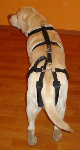 Súprava postrojov štandard plus szelki-standard-plus-z-szelkami-barkowymi-2_s9vp6s18.jpg