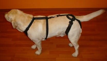 Súprava postrojov štandard plus szelki-standard-plus-z-szelkami-barkowymi-4_on5p1v40.jpg