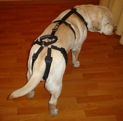 Súprava postrojov štandard plus szelki-standard-plus-z-szelkami-barkowymi-1_xea7m1lp.jpg