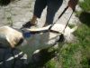 Dsc05090.jpg