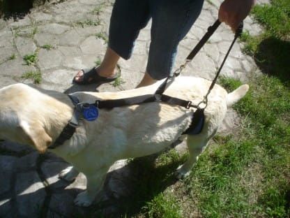 Brušný pás Dsc05090.jpg