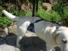Dsc05066.jpg