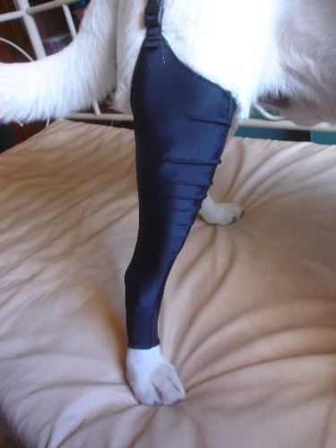 Zadná pančucha SPANDEX Dsc04858.jpg