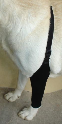 Predné pančuchy SPANDEX ponczocha-dla-psa-przod-3.jpg