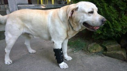 Ortéza zápästia 2 dlahy 4_7iw22m63.jpg