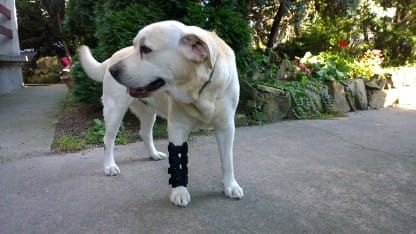 Ortéza zápästia 2 dlahy 3.jpg