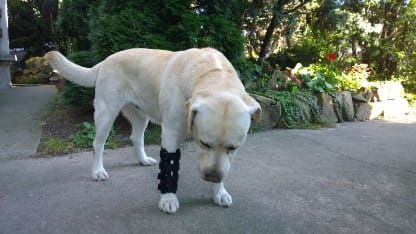 Ortéza zápästia 2 dlahy 2_wp1e4eq3.jpg