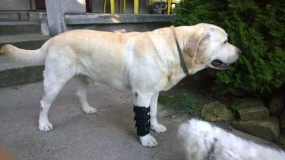 Ortéza zápästia 2 dlahy 1.jpg