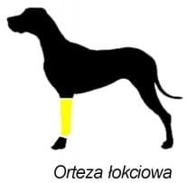 Stabilizovaná ortéza na zápästie a lakeť