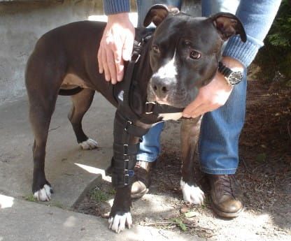 Stabilizovaná ramenná a lakťová ortéza