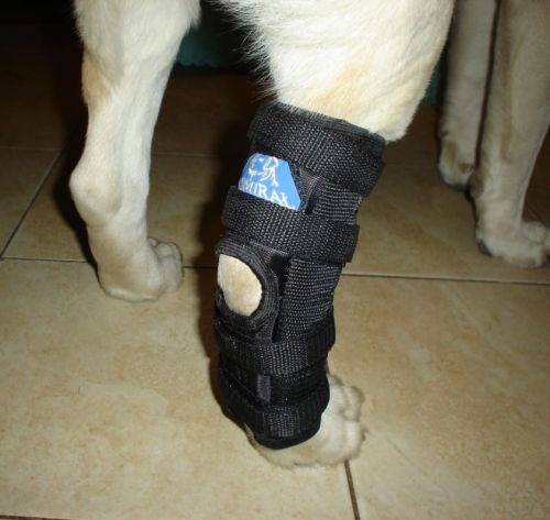 Zadná stabilizovaná ortéza na členok 2 dlahy orteza-skokowa_4bch31cl.jpg