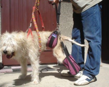 Kabelka topánky pár uprzaz-brzuszna-buty-2.jpg